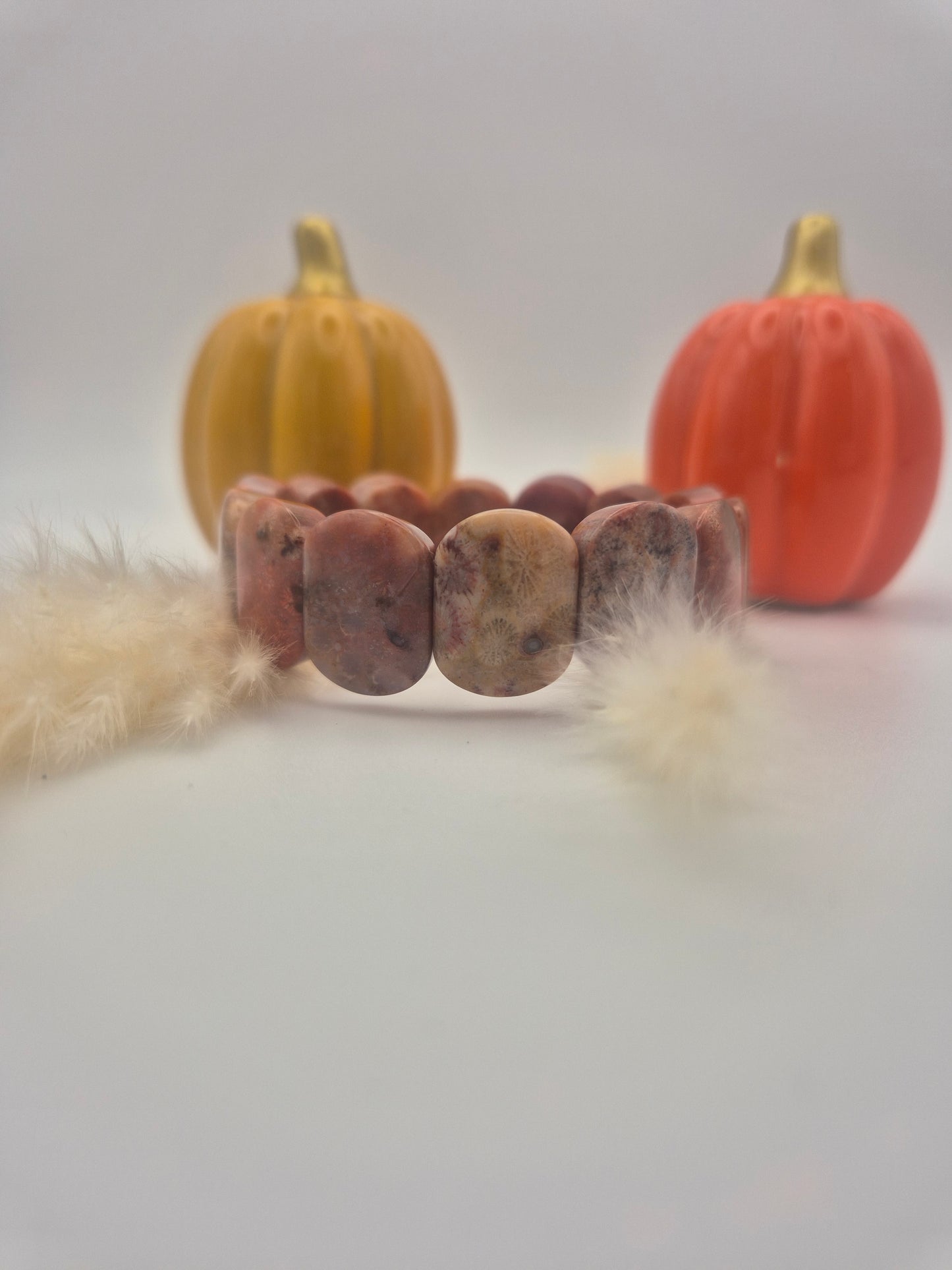 Bracelet Bombé Corail Fossilisé – Élégance & Énergie Intemporelle