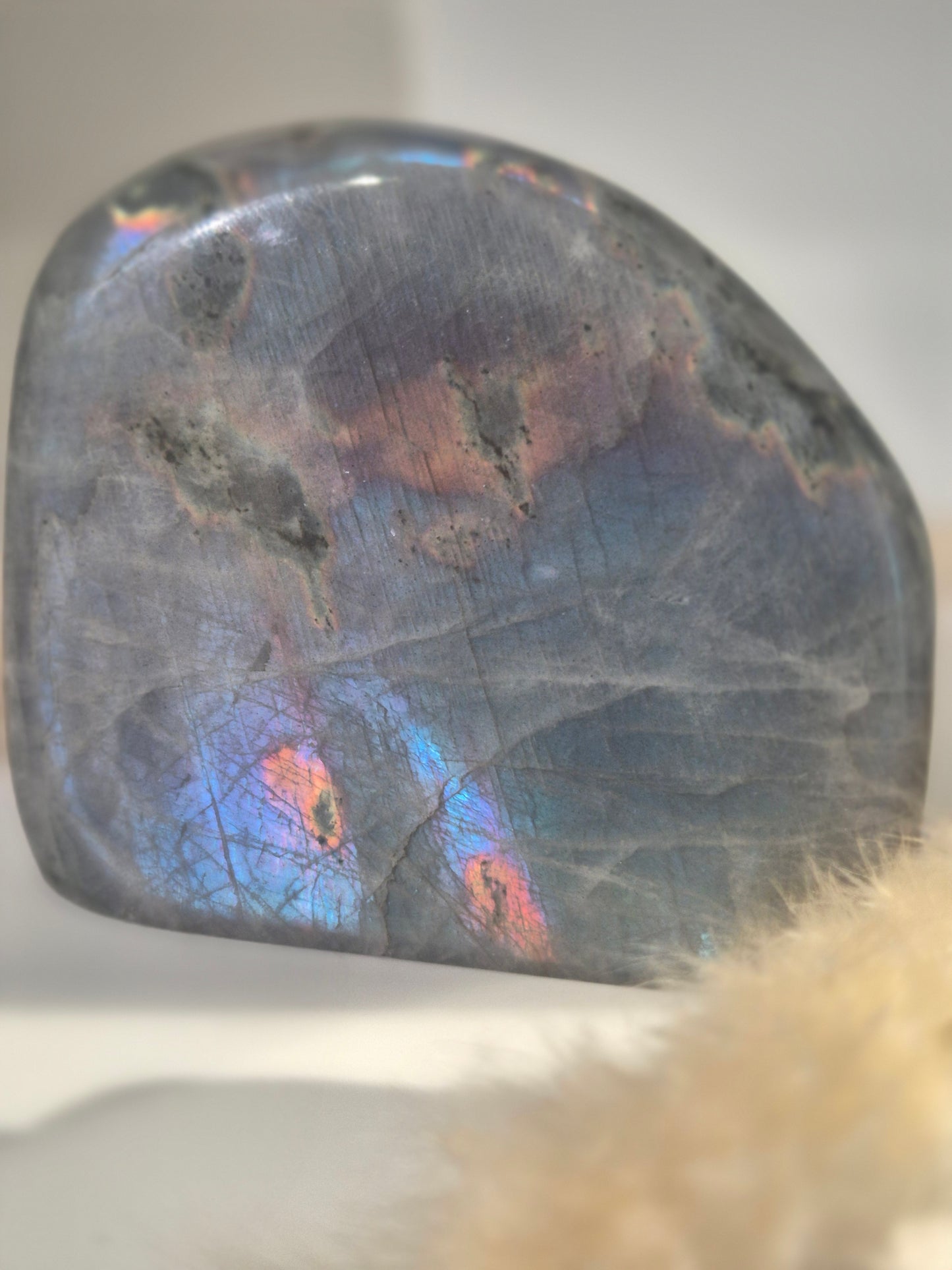 Labradorite libre 470 g (reflets bleu, violet, orange)