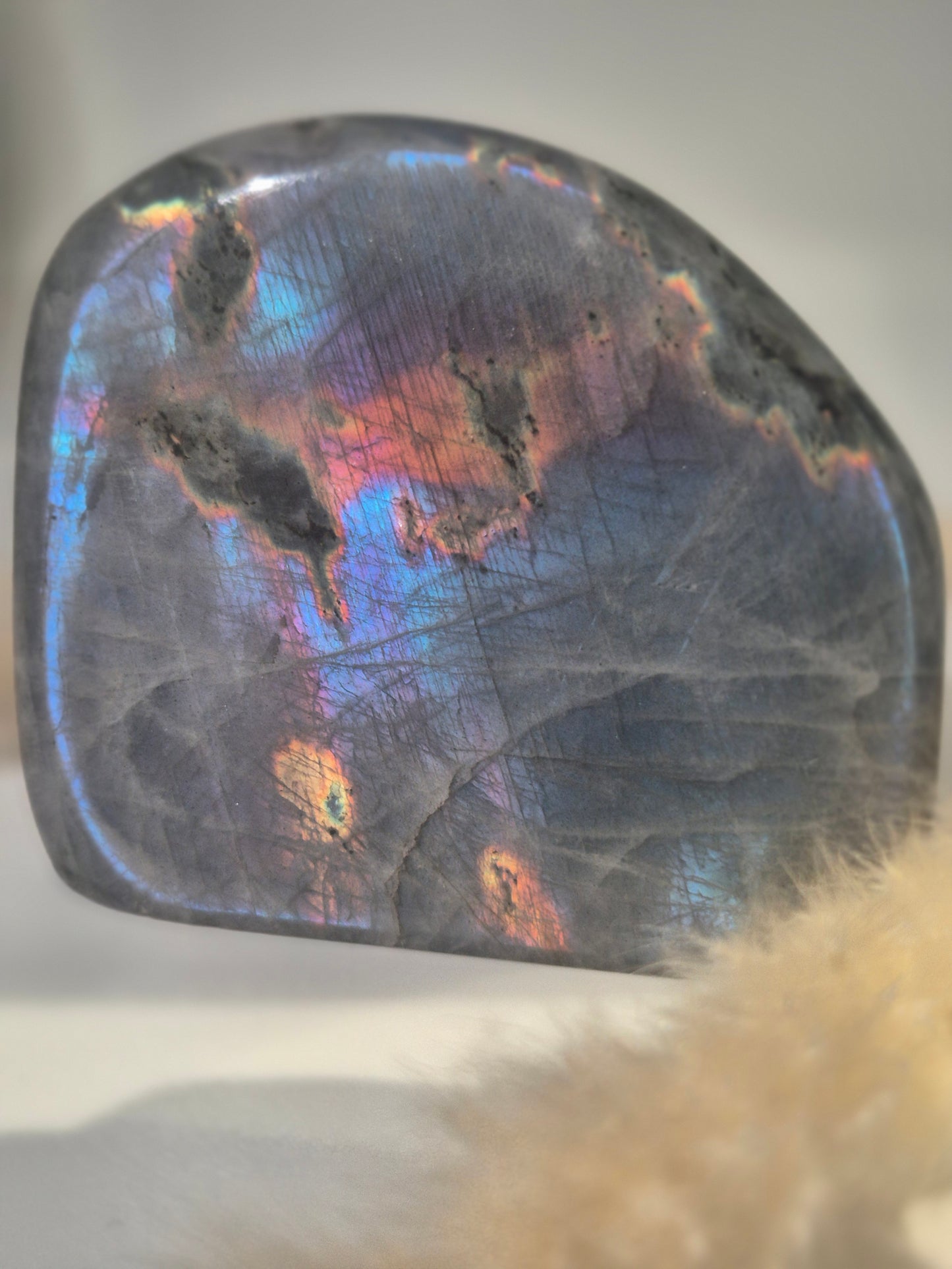 Labradorite libre 470 g (reflets bleu, violet, orange)
